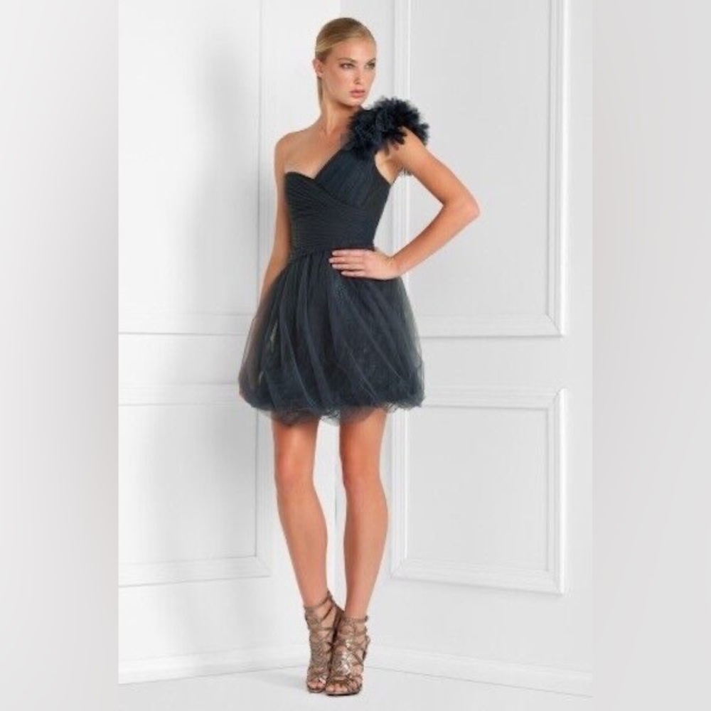BCBGMAXAZRIA Tulle Overlay Dress.